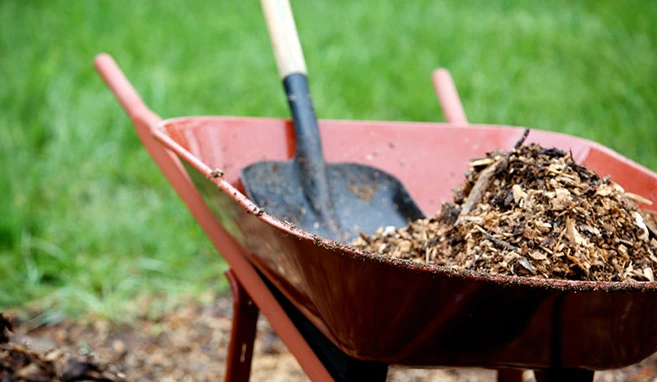 Kompost und Rindenmulch - BÖRDNER Städtereinigung